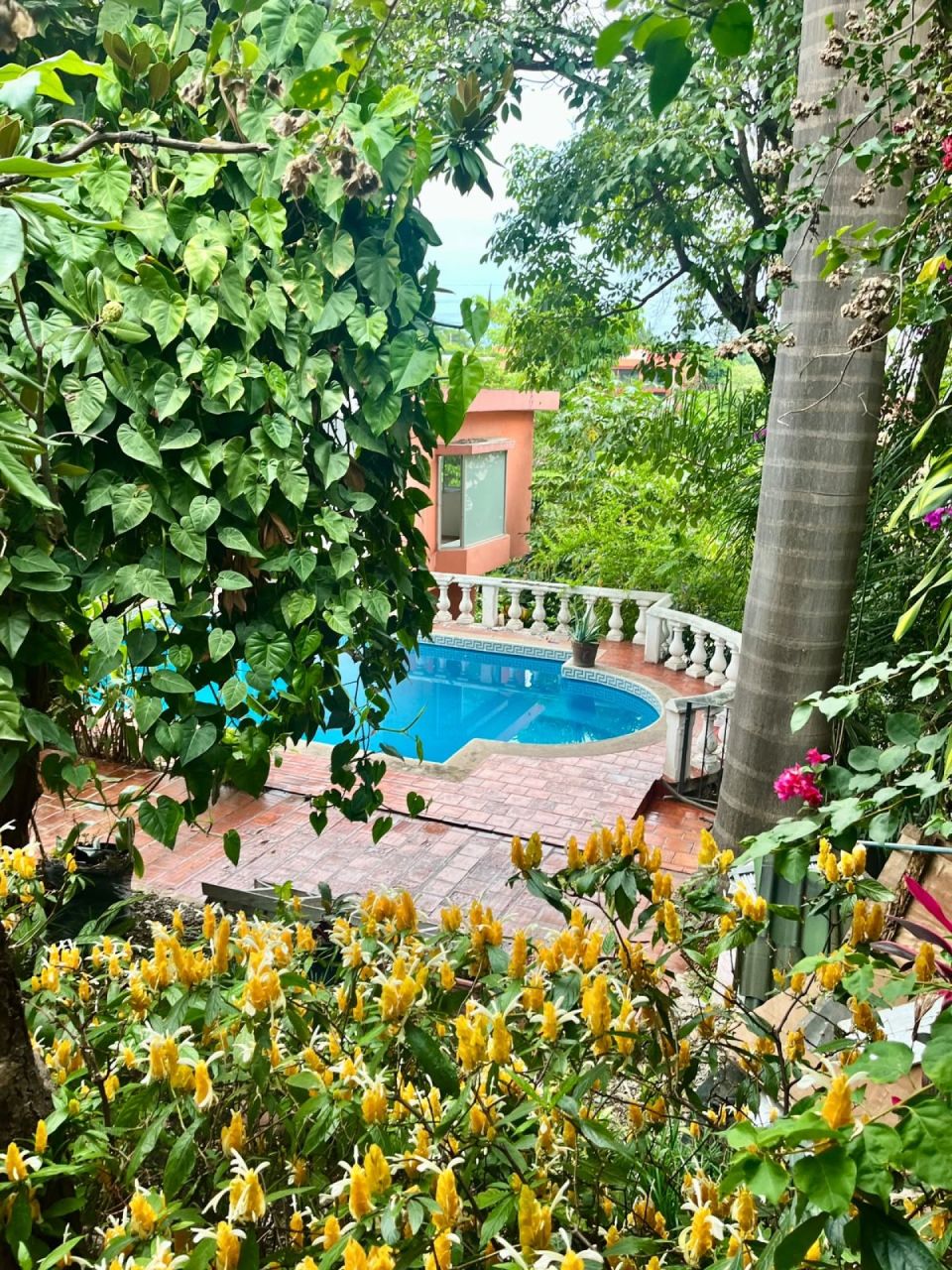 Casas en Palmira