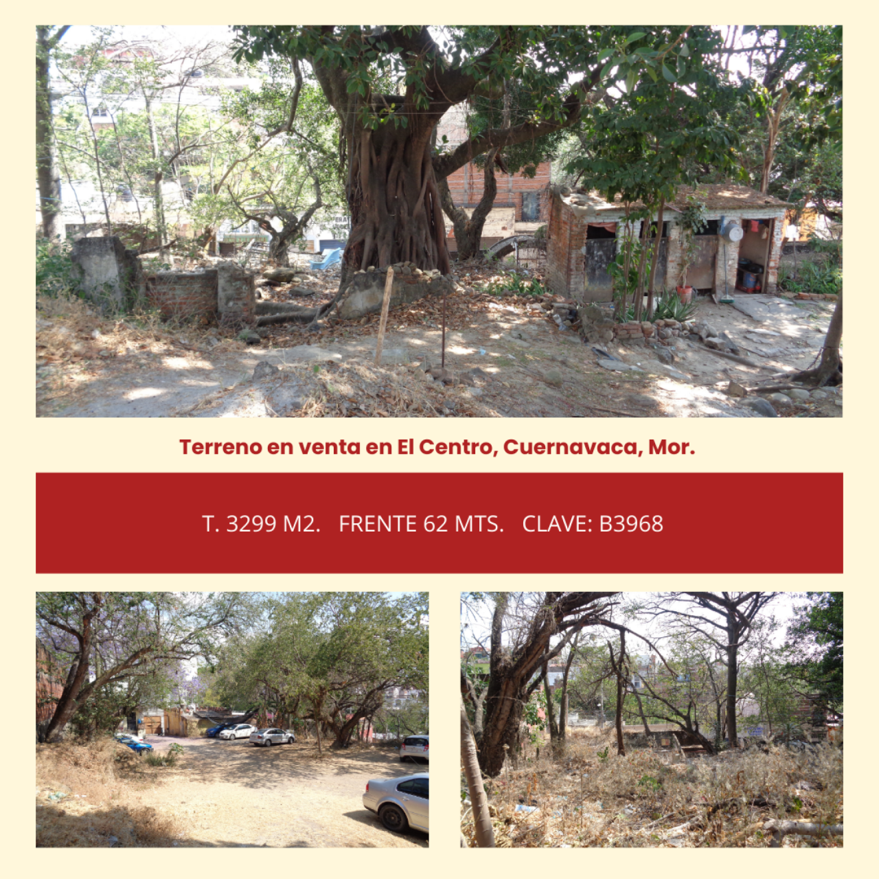 Terrenos en Centro