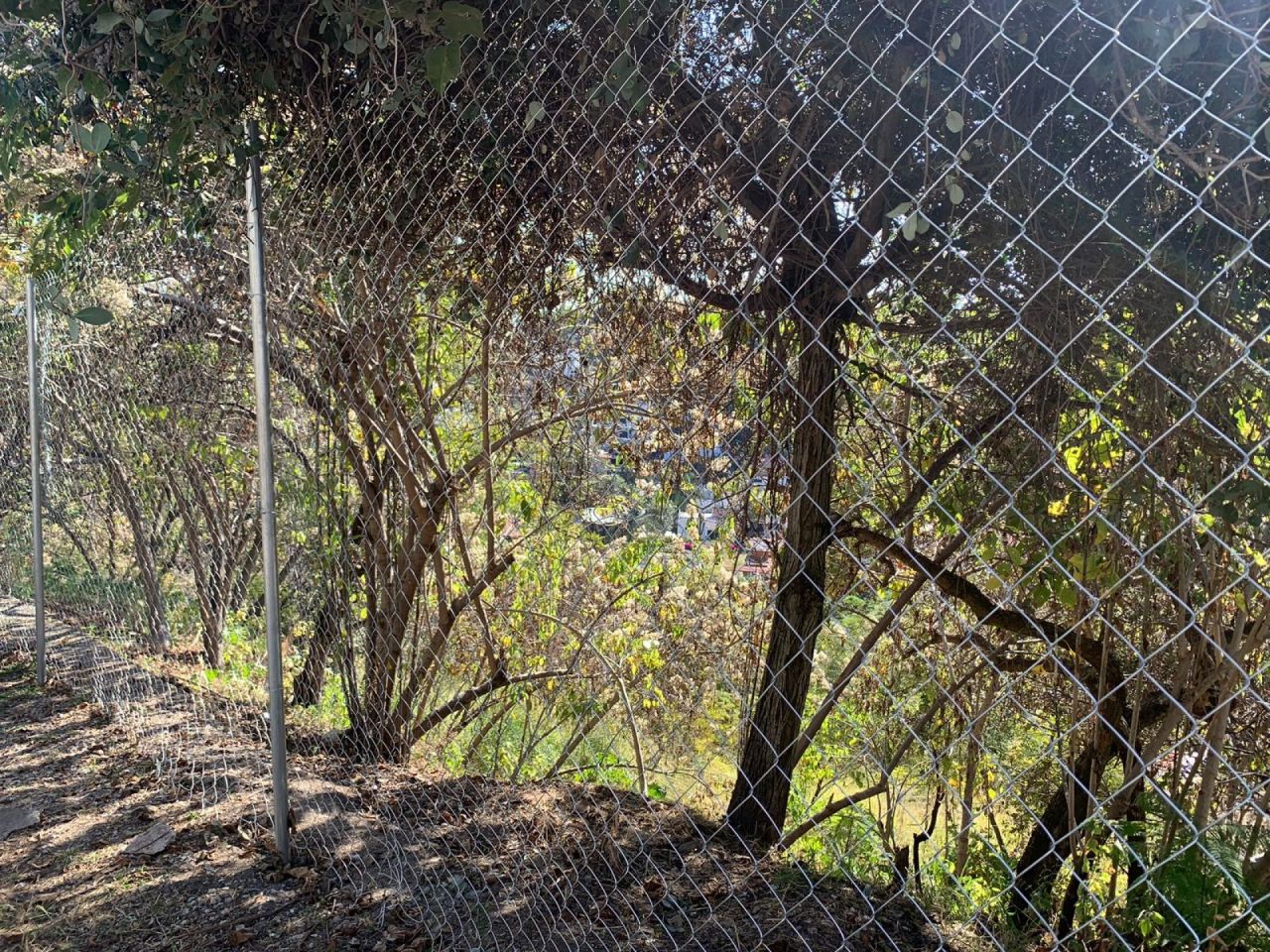 Terrenos en Rancho Tetela